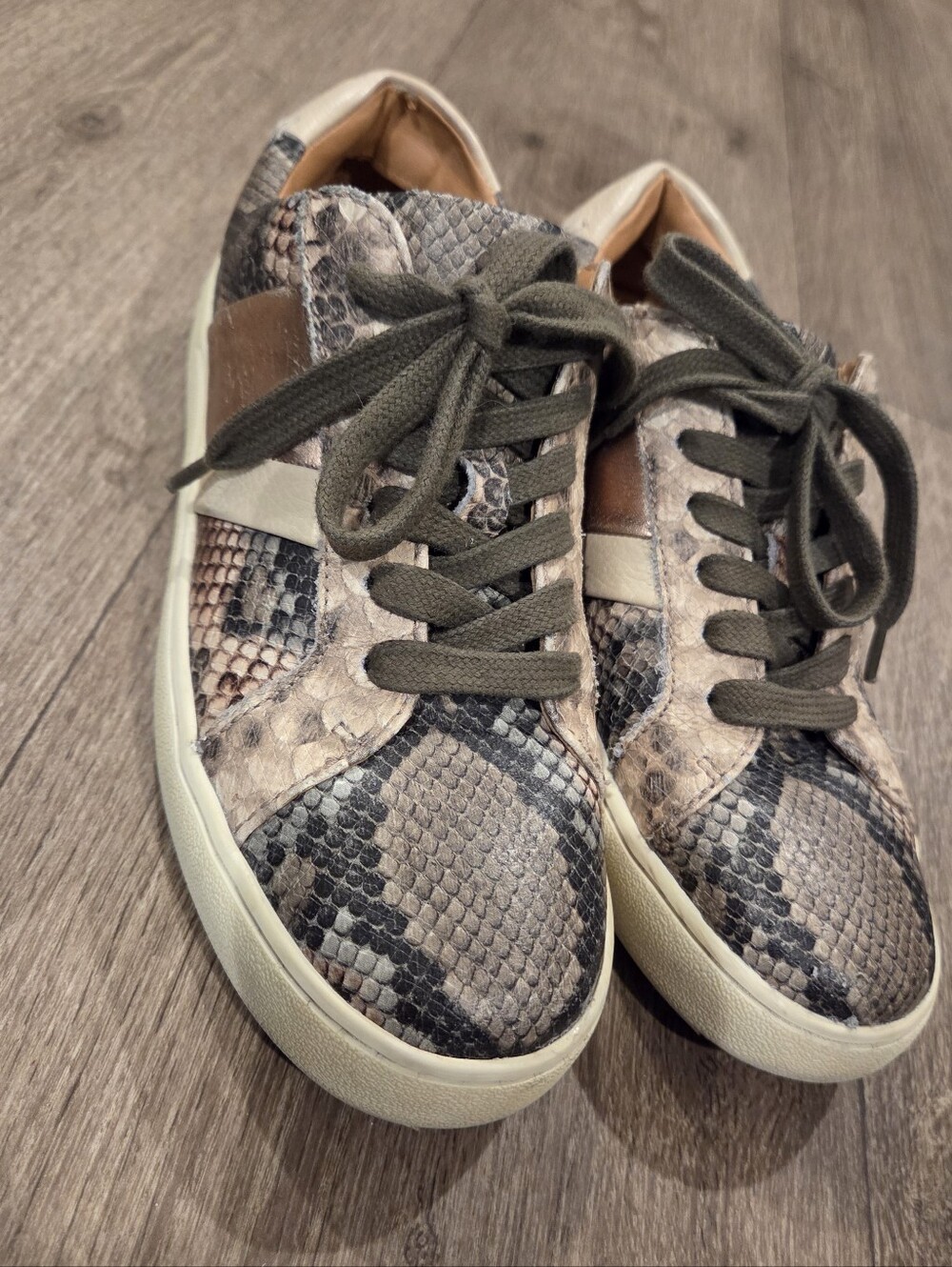 Frye Snake-Print Low-Top Sneakers in Taupe and Olive